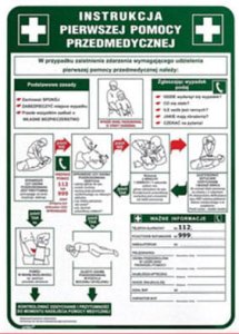 Znak Instrukcja Pierwszej Pomocy  Z-IB13-P 250x350