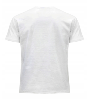 Wygodny T-shirt męski TSRA-150 – 100% bawełna, lekki i oddychający - zdjęcie 2