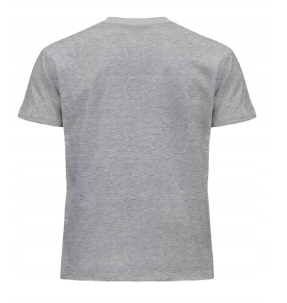 Wygodny T-shirt męski TSRA-150 – 100% bawełna, lekki i oddychający - zdjęcie 10