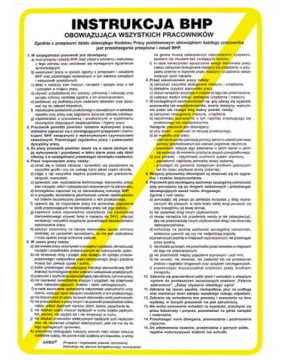 Znak Instr.BHP Obow.Wszyst.Pracow. Z-IB1-P-250x350 - zdjęcie 2