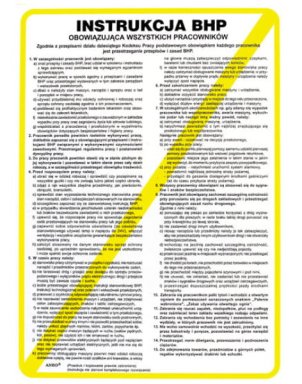 Znak Instr.BHP Obow.Wszyst.Pracow. Z-IB1-P-250x350 - zdjęcie 2